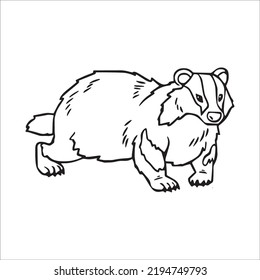 Beautiful Badger Line Art Imagesoutline Drawingvector Stock Vector ...