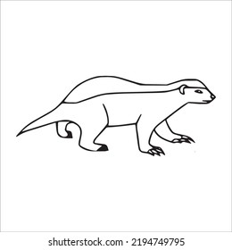 Beautiful Badger Line Art Images,outline Drawing,vector Art And Badger Illustrations Art