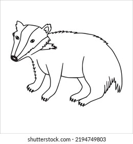 Beautiful Badger Line Art Images,outline Drawing,vector Art And Badger Illustrations Art