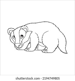 Beautiful Badger Line Art Images,outline Drawing,vector Art And Badger Illustrations Art