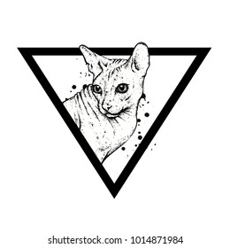 Beautiful bald cat in a triangle. Cat of Sphynx breed. Vector illustration for a postcard or a poster, print for clothes.