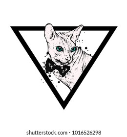 Beautiful bald cat in a triangle. Cat of Sphynx breed. Vector illustration for a postcard or a poster, print for clothes.