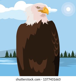 beautiful bald eagle animal in landscape