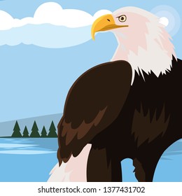 beautiful bald eagle animal in landscape