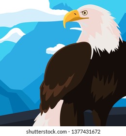 beautiful bald eagle animal in snowscape