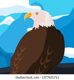 beautiful bald eagle animal in snowscape