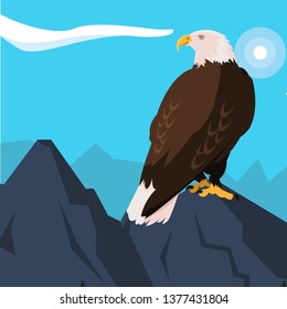 beautiful bald eagle animal in snowscape