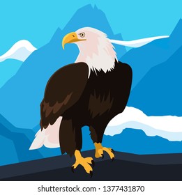 beautiful bald eagle animal in snowscape