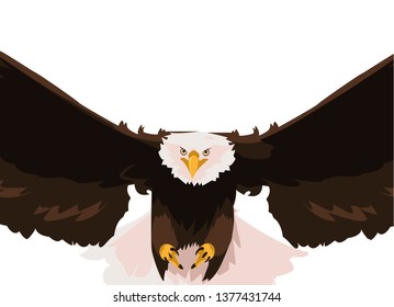 beautiful bald eagle flying