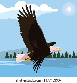beautiful bald eagle flying in the lake scene