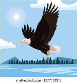 beautiful bald eagle flying in the lake scene
