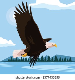 beautiful bald eagle flying in the lake scene