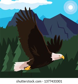 beautiful bald eagle flying in the landscape