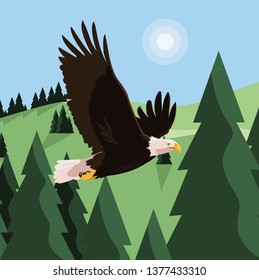 beautiful bald eagle flying in the landscape