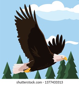 beautiful bald eagle flying in the landscape