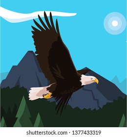 beautiful bald eagle flying in the landscape