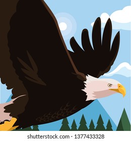 beautiful bald eagle flying in the landscape