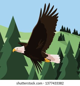 beautiful bald eagle flying in the landscape