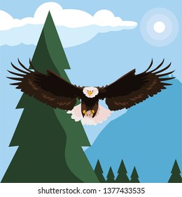 beautiful bald eagle flying in the landscape