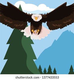beautiful bald eagle flying in the landscape