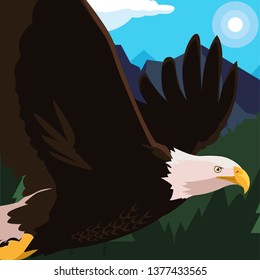 beautiful bald eagle flying in the landscape