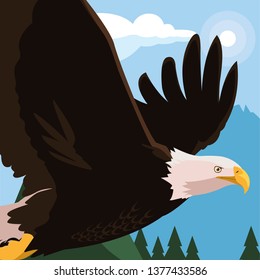 beautiful bald eagle flying in the landscape