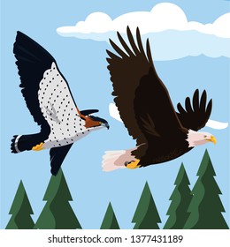 beautiful bald eagle and hawk flying in the landscape