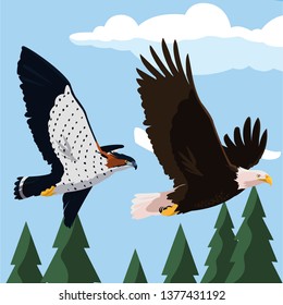beautiful bald eagle and hawk flying in the landscape