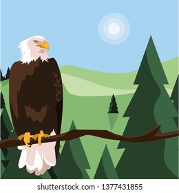 beautiful bald eagle in tree branch landscape scene