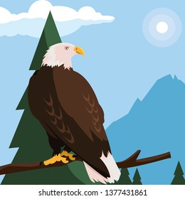 beautiful bald eagle in tree branch landscape scene