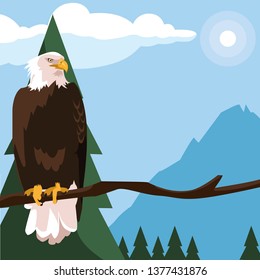 beautiful bald eagle in tree branch landscape scene