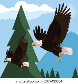 beautiful bald eagles flying in the landscape