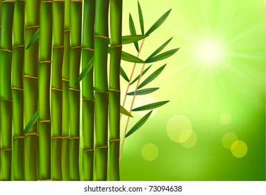 Beautiful bamboo border. Vector illustration.