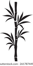 A beautiful Bamboo with white background