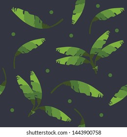 beautiful banana leaf pattern with dark background 