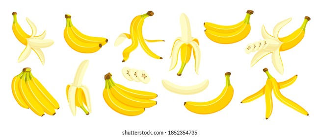 Beautiful bananas in cartoon style. Flat design. Set of yellow bananas isolated on a white background. Vector illustration