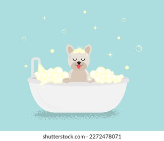 Beautiful banner with dog in bath on blue background for lifestyle design. Vector background. Domestic dog. Dog, puppy, doggy, pet. Vector illustration