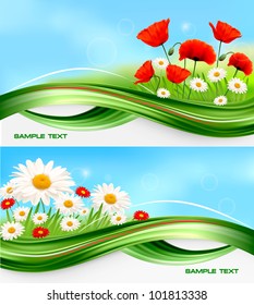 Beautiful banners with daisies and poppies. Vector.