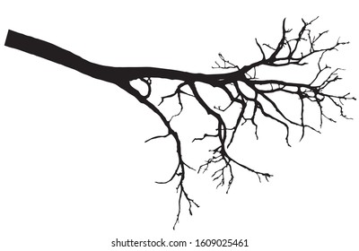 Beautiful bare branch tree silhouette, vector illustration.