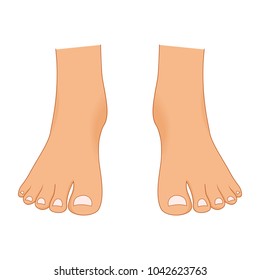 124,363 Cartoon feet Images, Stock Photos & Vectors | Shutterstock