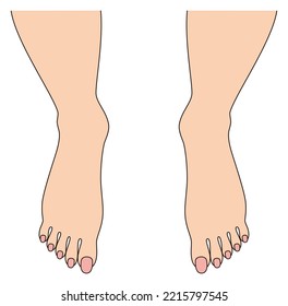 Hermosos pies descalzos para la gente. Los dedos de los pies femeninos. Ilustración. Vector.