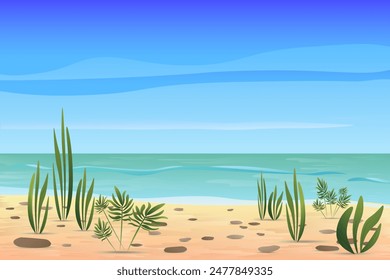 Beautiful Beach with clear water, cloud and sky