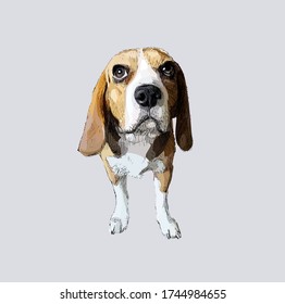 beautiful beagle dog label vector engraving illustration realistic 3d