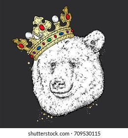 A beautiful bear in the crown. Vector illustration for a postcard or a poster, print for clothes. Predator hipster in clothes. Fashion and Style. Funny bear.