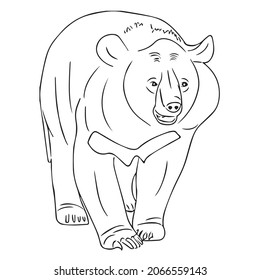Beautiful Bear line art,Bear sketch,vector art,outline drawing illustration