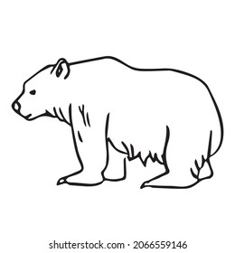 Beautiful Bear line art,Bear sketch,vector art,outline drawing illustration