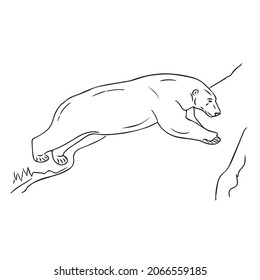 Beautiful Bear line art,Bear sketch,vector art,outline drawing illustration