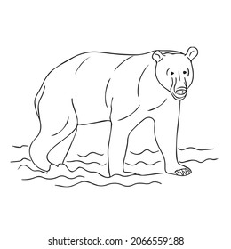 Beautiful Bear line art,Bear sketch,vector art,outline drawing illustration