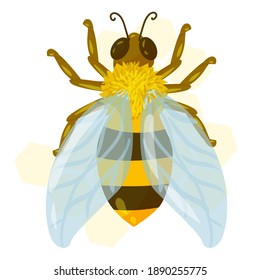 beautiful bee or wasp drawn in cartoon style. striped insect. yellow bee with blue transparent wings against a background of yellow honeycombs. vector illustration