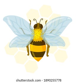 beautiful bee or wasp drawn in cartoon style. striped insect. yellow bee with blue transparent wings against a background of yellow honeycombs. vector illustration